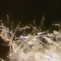 Urea