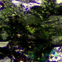 Radovanite