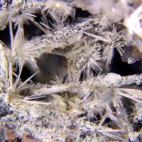 Cannonite, Bismuthinite