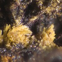 Jamesite