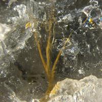Bafertisite, Quartz