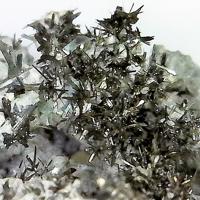 Cannizzarite