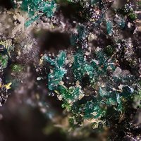Lammerite, Paralammerite, Kozyrevskite