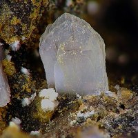 Dachiardite-Ca, Phillipsite-Ca