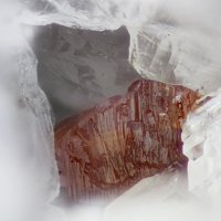 Xanthoconite