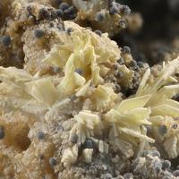 Calcioferrite, Hydroxylapatite, Whitlockite