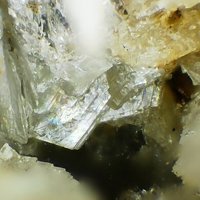 Umbite