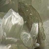 Tainiolite, Pectolite