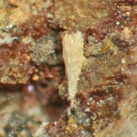 Ottoite, Murphyite
