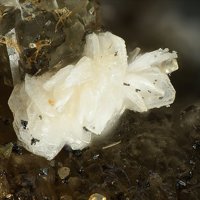 Lanthanite-(Ce)
