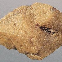 Saltonseaite, Halite, Sylvite
