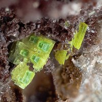 Uranocircite, Torbernite