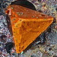 Nantokite, Limonite