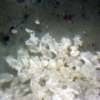 Galeite