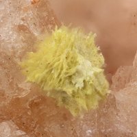 Carlhintzeite