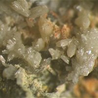 Ottoite