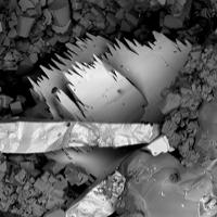 Bartelkeite, Siderite