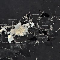Jacutingaite, Stibiopalladinite, Gold