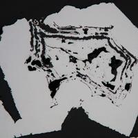 Canfieldite