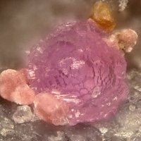 Sainfeldite, Erythrite
