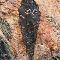 Samarskite-(Y), Albite, Muscovite