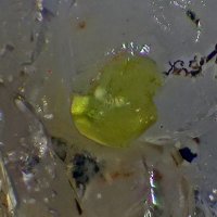 Gaspéite, Calcite