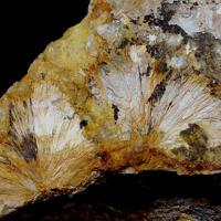 Bavenite