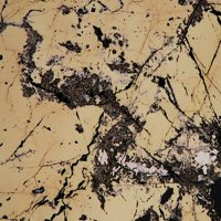 Mackinawite, Chalcopyrite, Calcite
