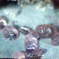 Calcioancylite-(Nd)