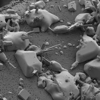 Lafossaite, Bismuthinite, Quartz