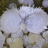 Dachiardite-Na, Dachiardite-Ca, Ferrierite-Na