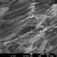 Carlhintzeite