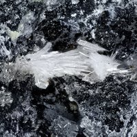 Lanarkite