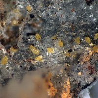 Cassedanneite