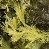 Bayleyite