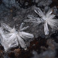 Carlhintzeite