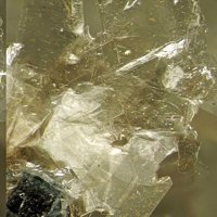 Tainiolite