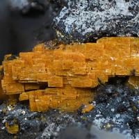 Bassetite, Chalcopyrite, Chalcocite
