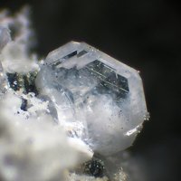 Farneseite