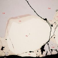 Vaesite, Linnaeite, Pyrite