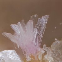 Cascandite
