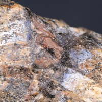Iimoriite-(Y)
