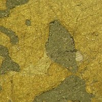 Taimyrite, Magnetite, Chalcopyrite