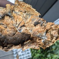 Palygorskite