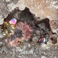 Ianthinite, Pyrite