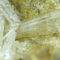 Nasonite
