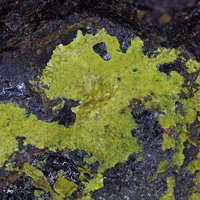 Carnotite, Davidite-(La)