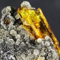 Raspite