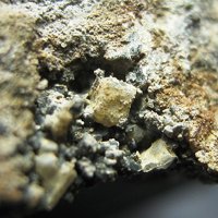 Kalsilite