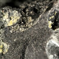 Ecdemite